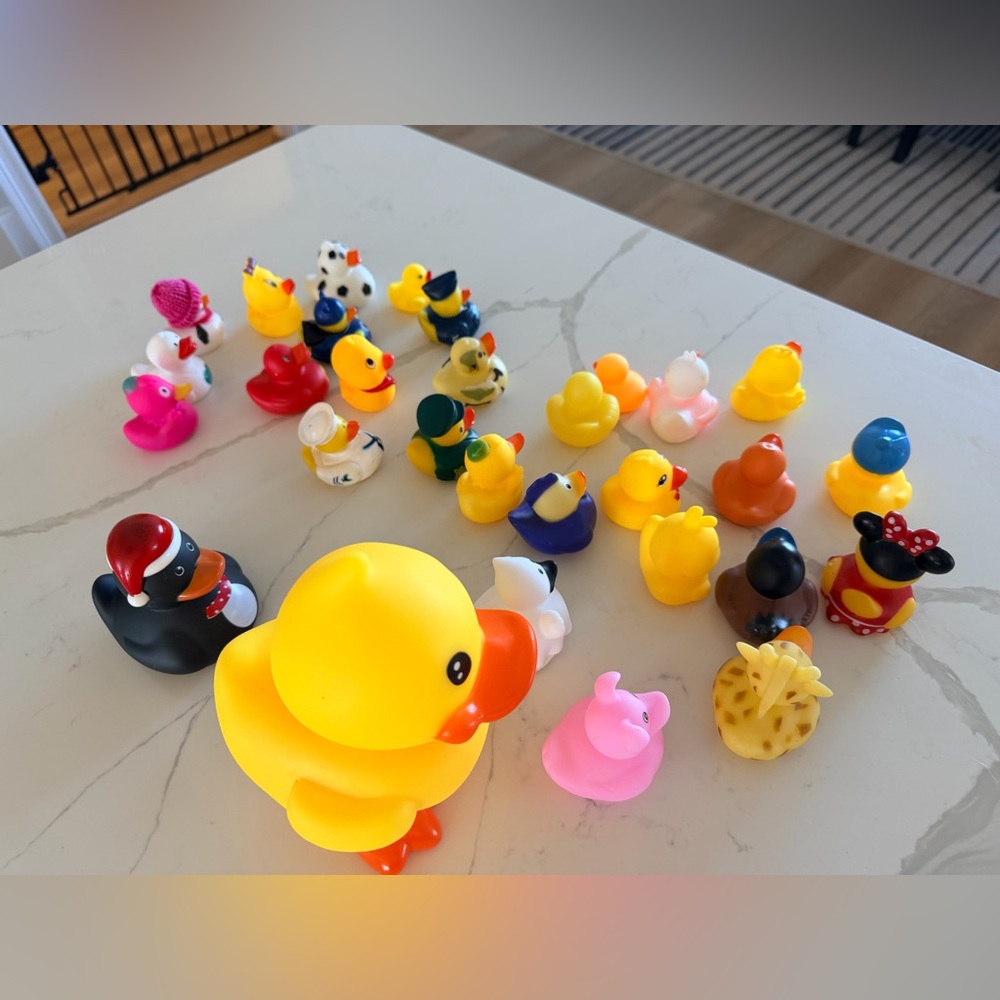 Colorful Rubber Ducks Various Sizes - Picture 11 of 12